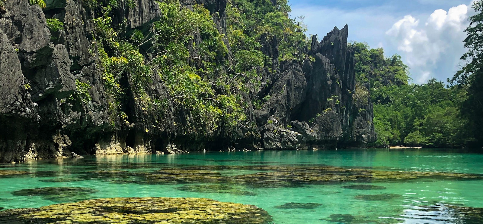 crystal waters at the bottom of tree covered cliffs