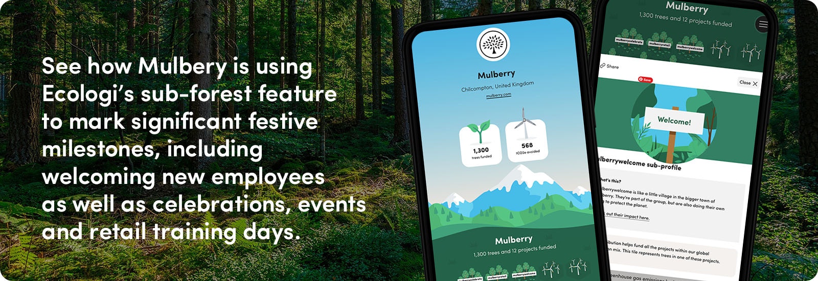 See how Mulberry is using Ecologi’s sub-forest feature to mark significant festive milestones, including welcoming new employees as well as celebrations, events and retail training days.