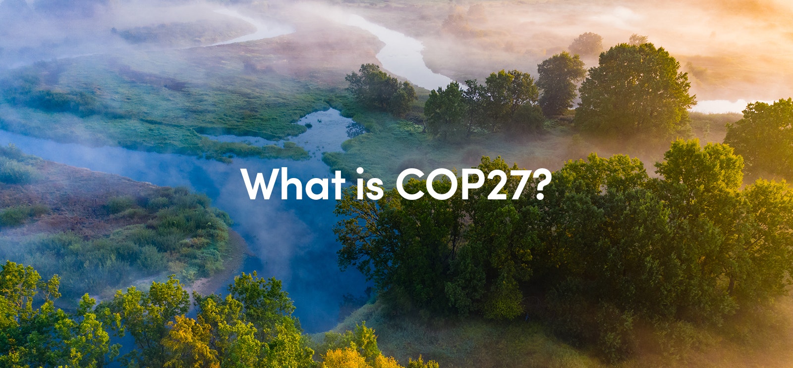 What is COP27?