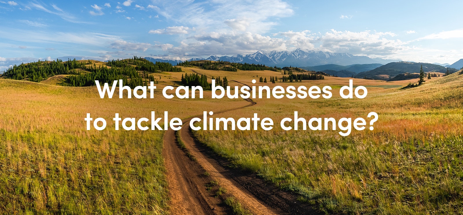 What can businesses do?