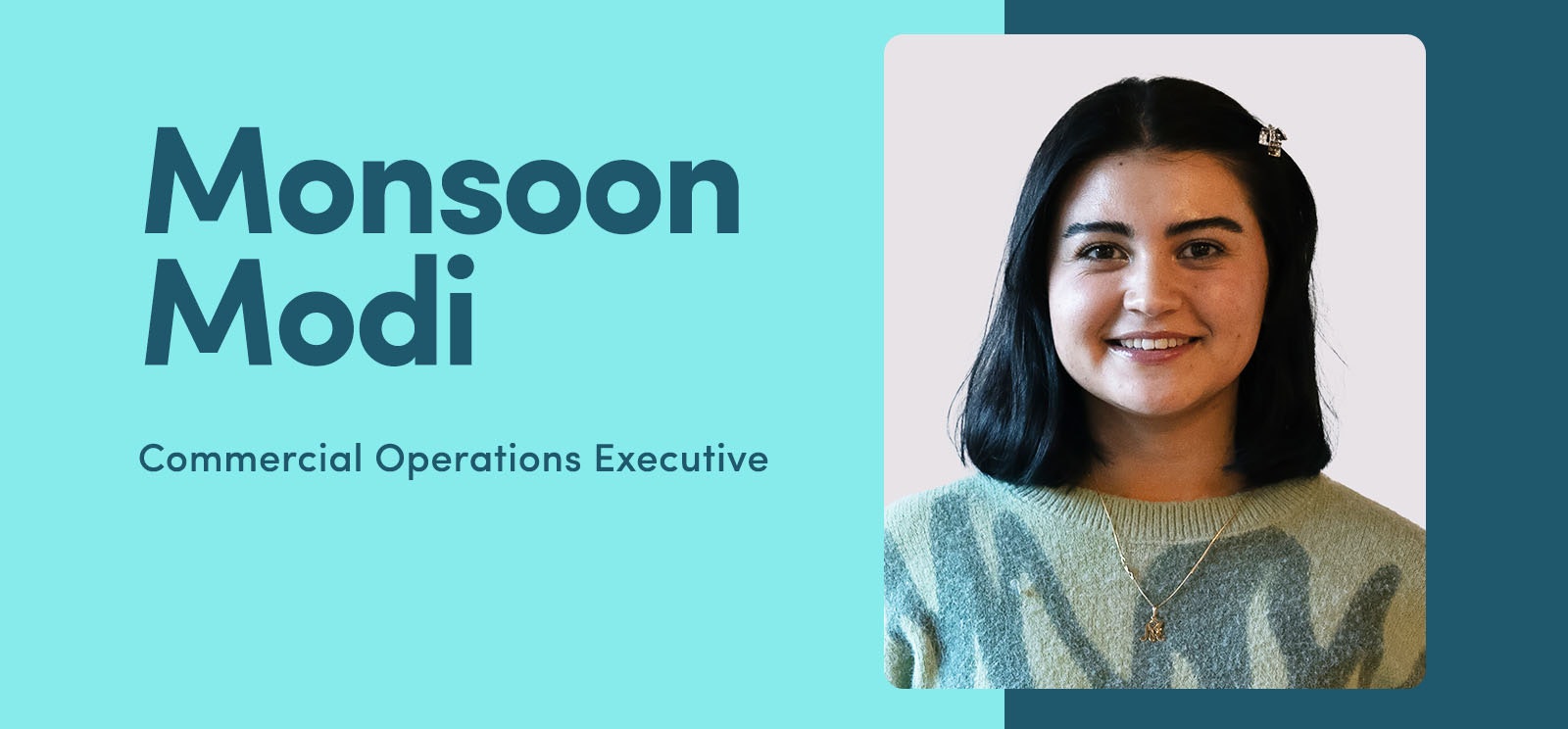 Monsoon Modi, Commercial Operations Executive