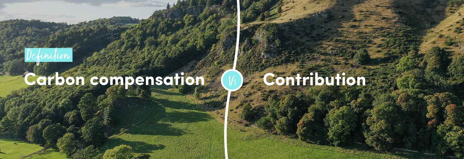 Definition: Carbon compensation vs contribution
