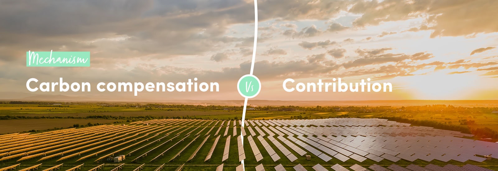 Mechanism: Carbon compensation vs contribution