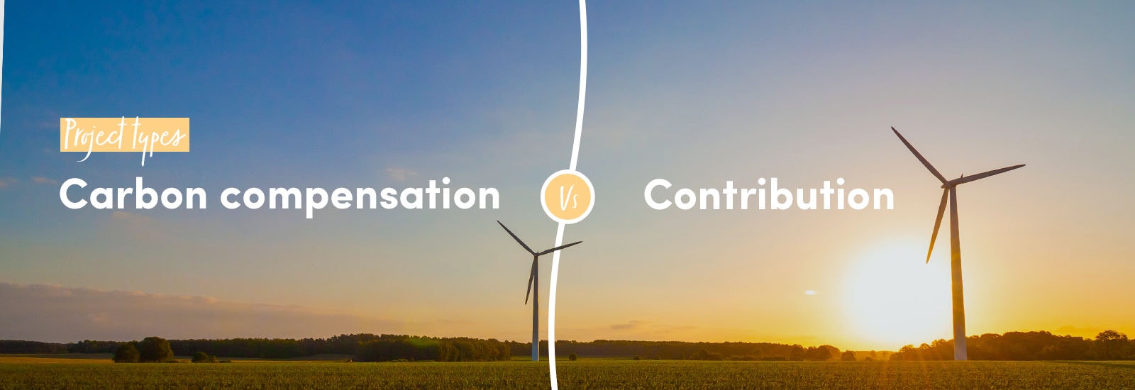 Project types: Carbon compensation vs contribution