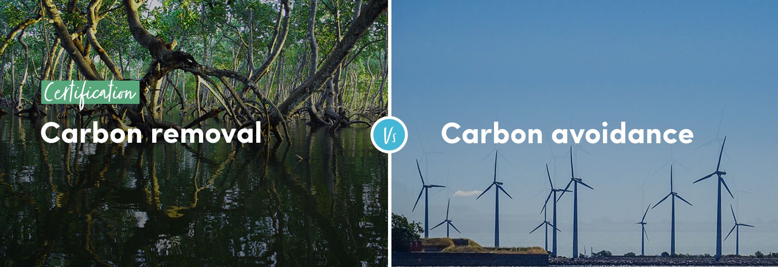 Certification - Carbon removal vs carbon avoidance
