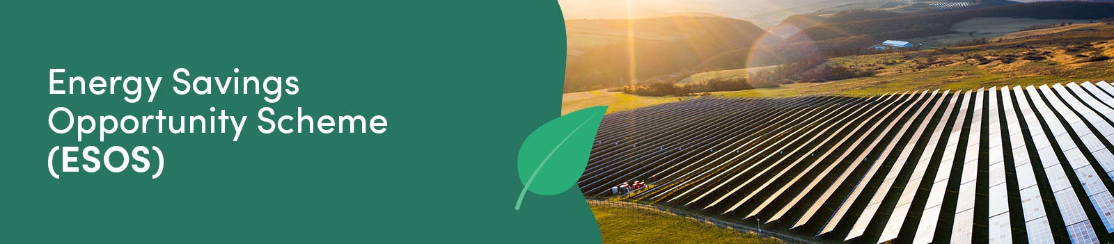 Energy Savings Opportunity Scheme (ESOS)