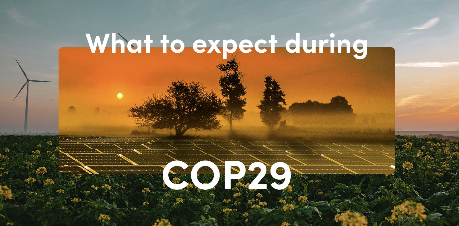 What to expect during COP29