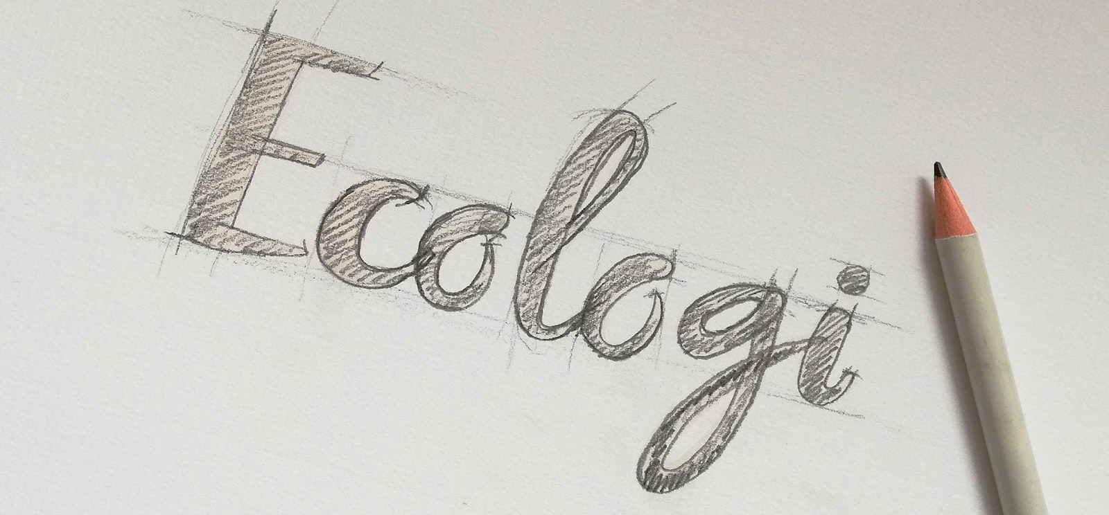 Ecologi logo sketch
