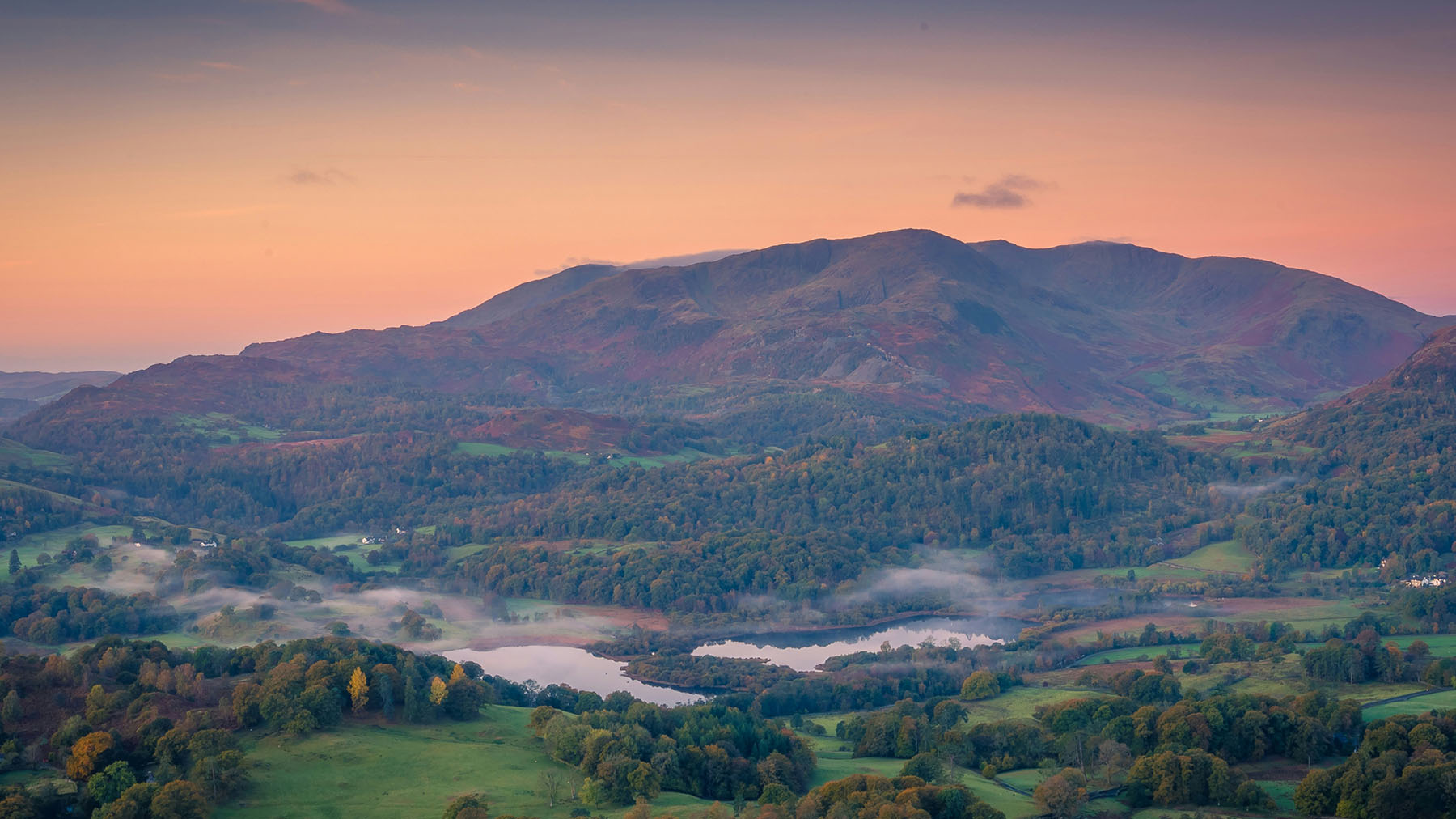 A hillside at sunset