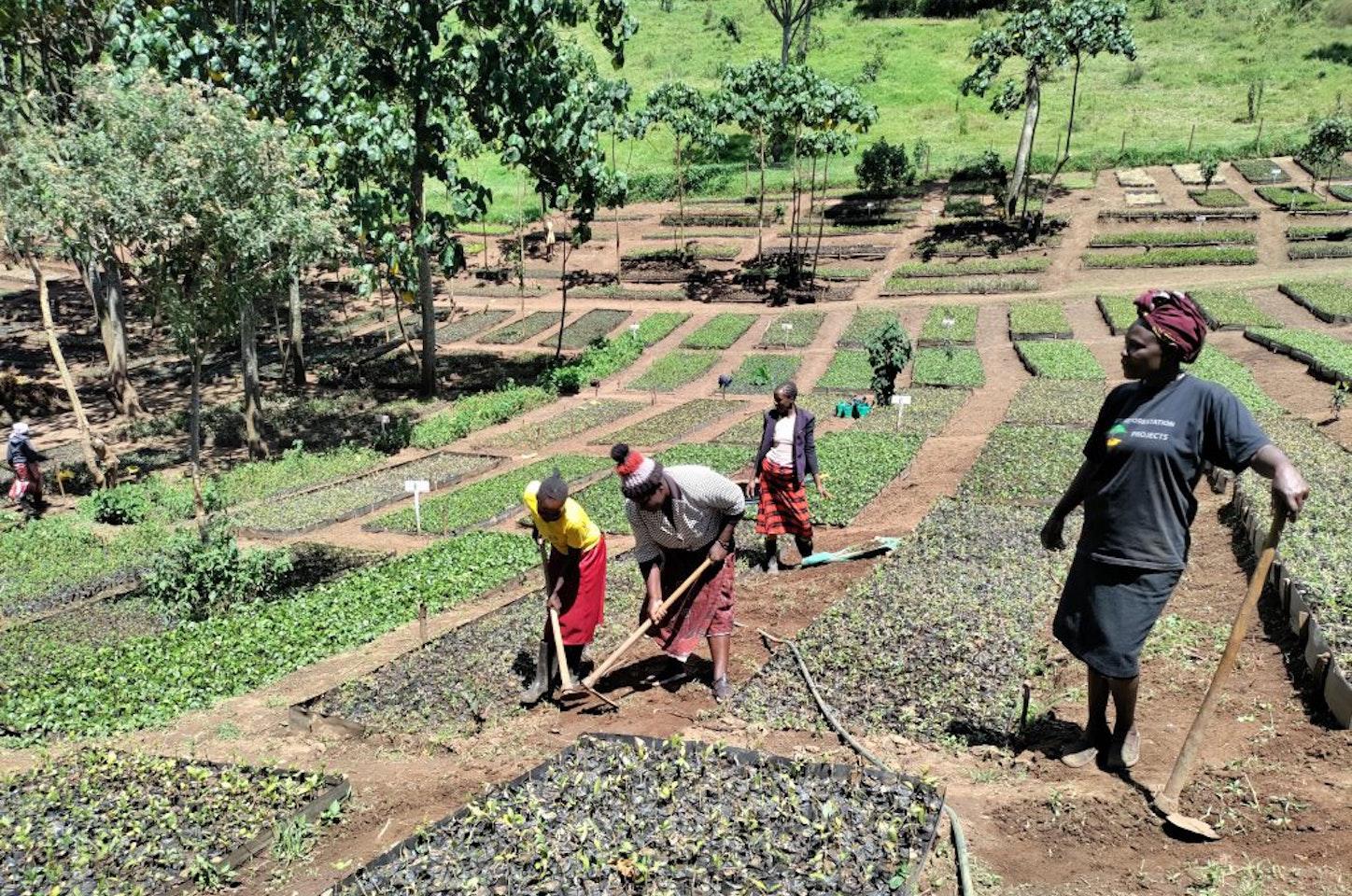 Ecologi project