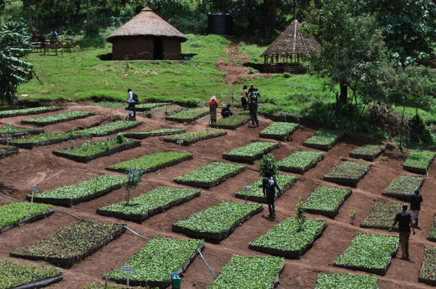 Ecologi project