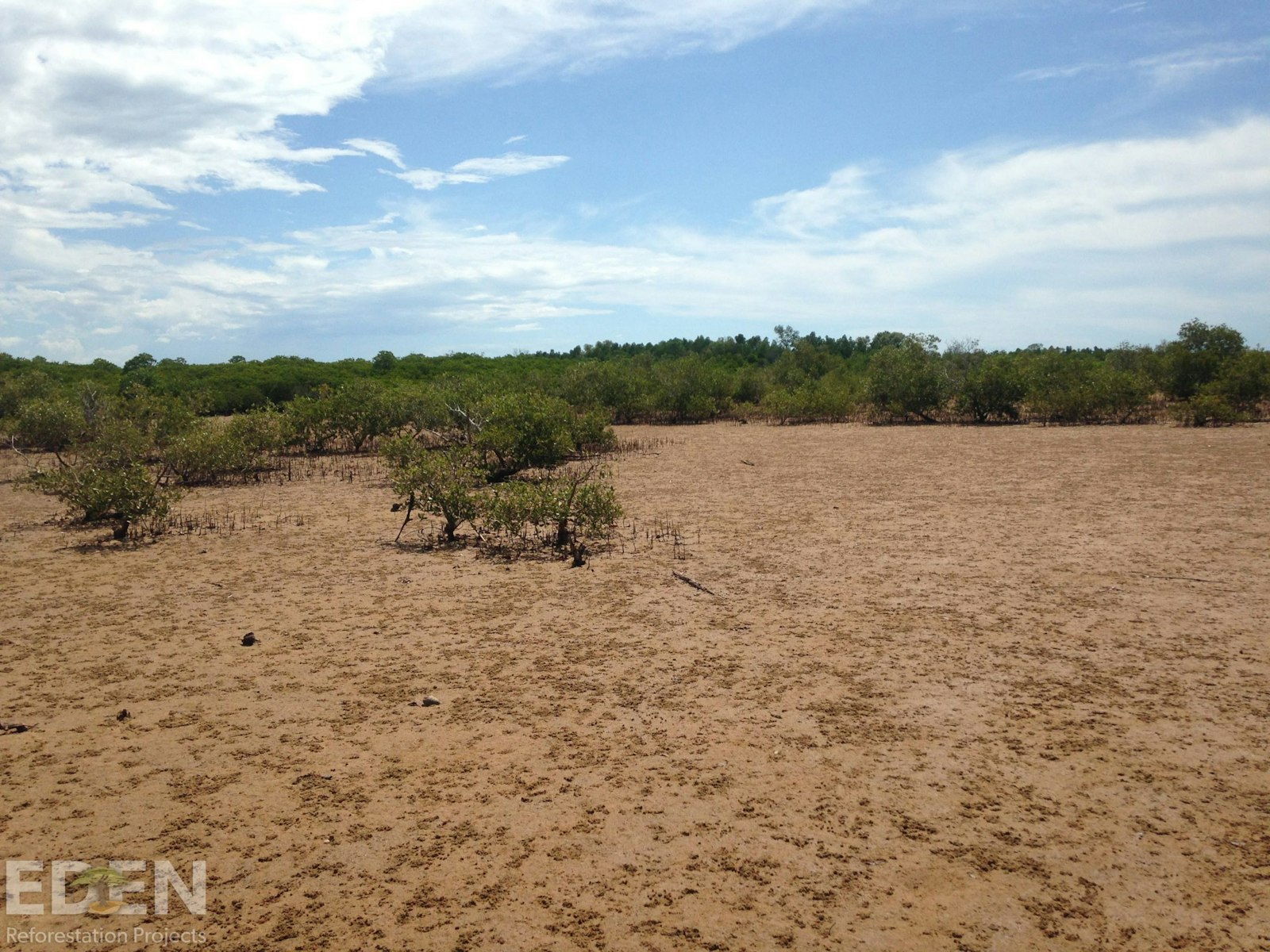 Deforested land.