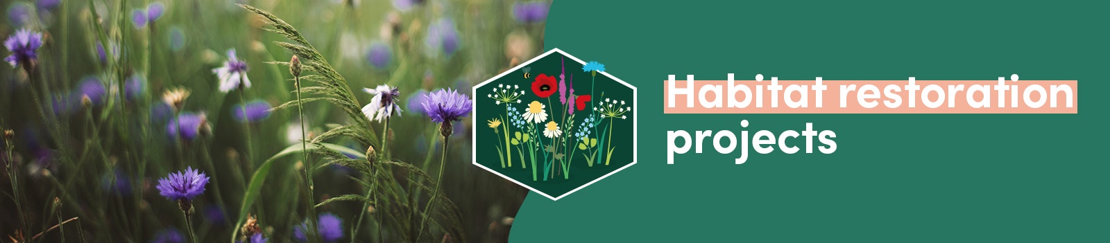Habitat restoration projects