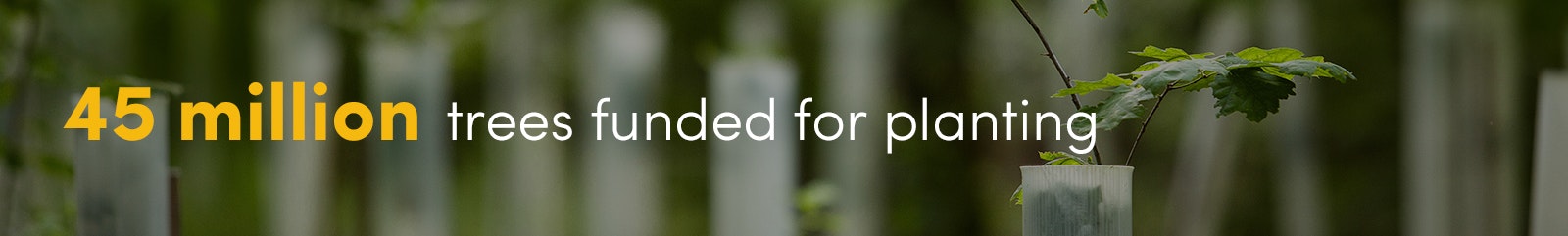 45 million trees funded for planting