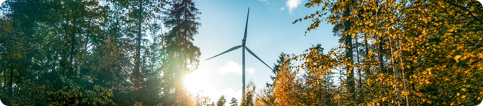 A picture of a wind turbine near a forest