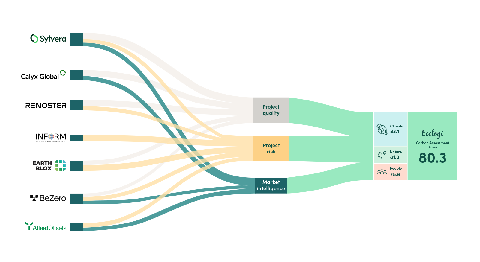 A Sankey diagram which illustrates how Ecologi uses a multitude of different partners to analyse project quality