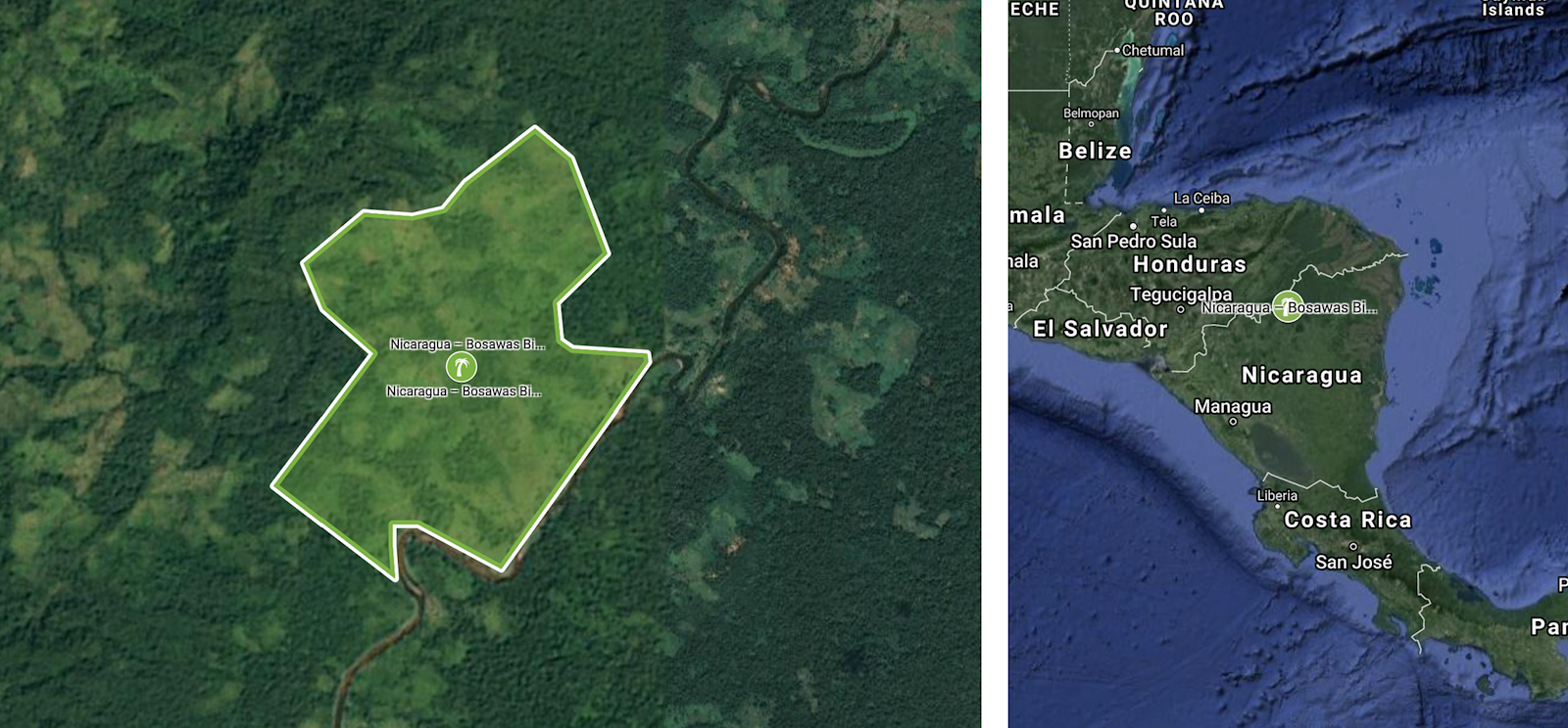 New planting site in Nicaragua